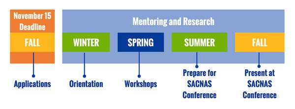 CUSP Scholar Timeline 2020-21