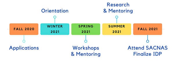 MUSe Professiorate timeline