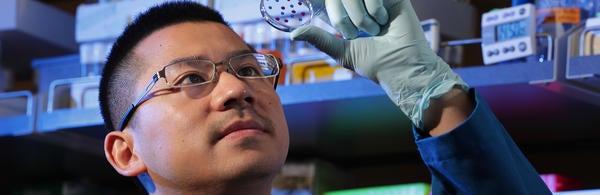 David Chen in the lab (c) UCR / Stan Lim