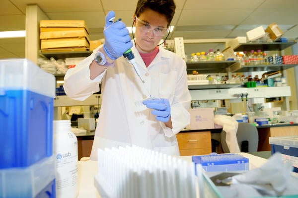 student in the Botany lab (c) Bailey Serres