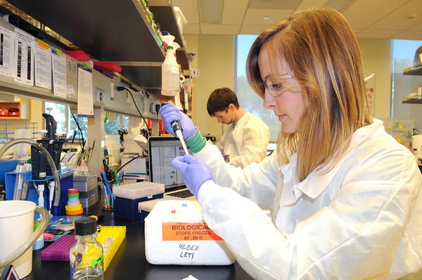 student in Plant Pathology lab (c) UCR / CNAS