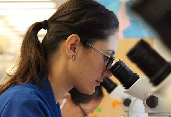 student in Neuroscience lab (c) UCR / CNAS