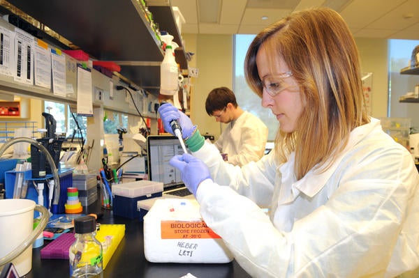 student in the Plant Pathology lab (c) UCR / CNAS