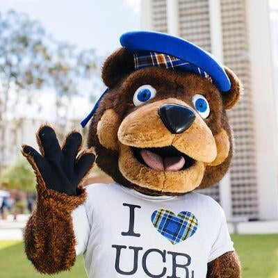 Scotty the bear