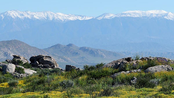 Motte Rimrock with mountains in background (c) UCR / Stan Lim
